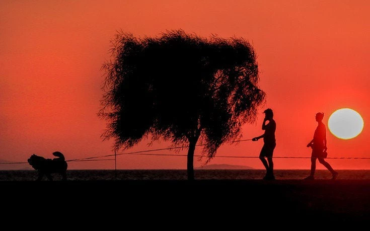 Ο καύσωνας «μετρά» τους πρώτους νεκρούς – Σε «κόκκινο συναγερμό» η Δυτική Ευρώπη – Ιστορικά υψηλές θερμοκρασίες